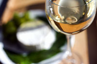 Wine glasses at winery tour